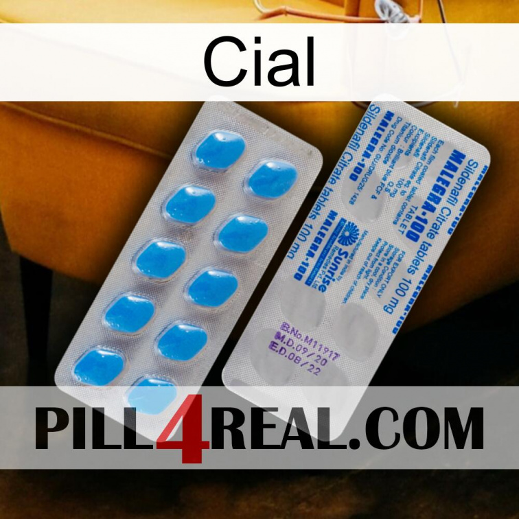 Cial new15